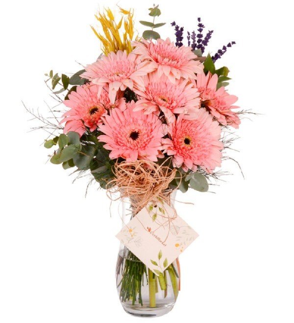 Gerbera Vazosu